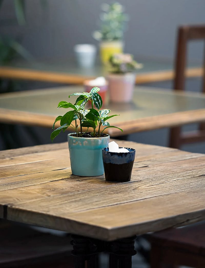 Costa Nova - Grespresso mug - espressotassen - aqua - 1