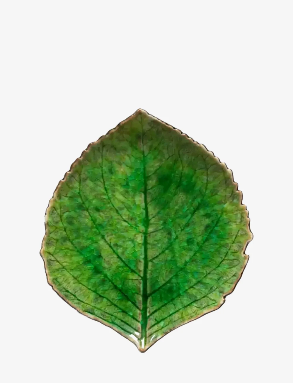 Costa Nova - Leaf plate Hydrangea S - nach preis einkaufen - light green - 0