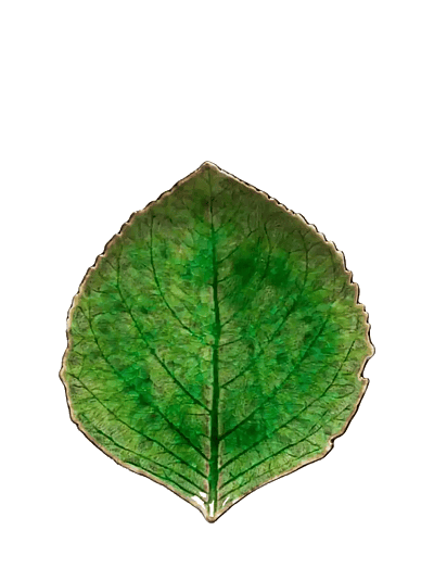 Costa Nova Leaf plate Hydrangea S - Geschirr - LIGHT GREEN / green