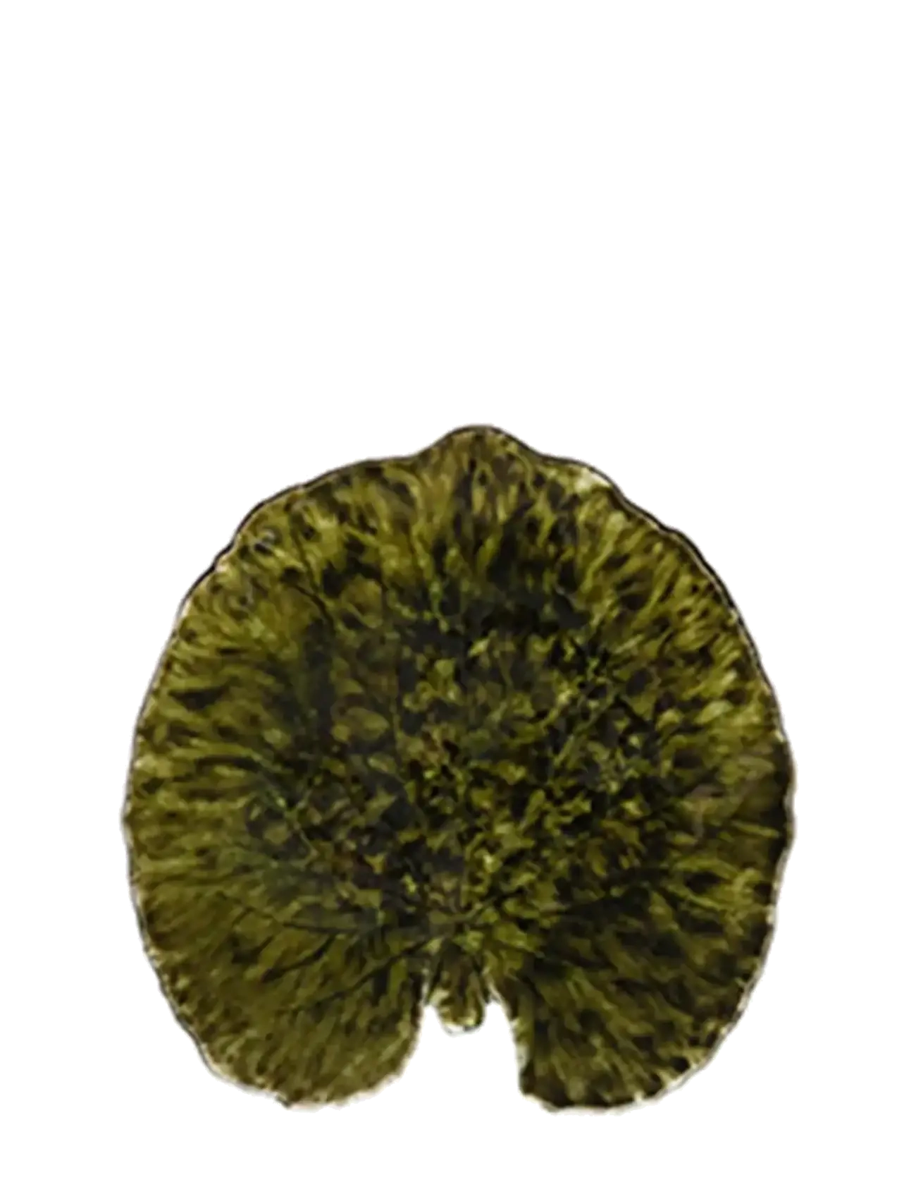 Costa Nova Bladfad Alchemille, Decorative Platters, Grøn, Str: 17.6X 17CM