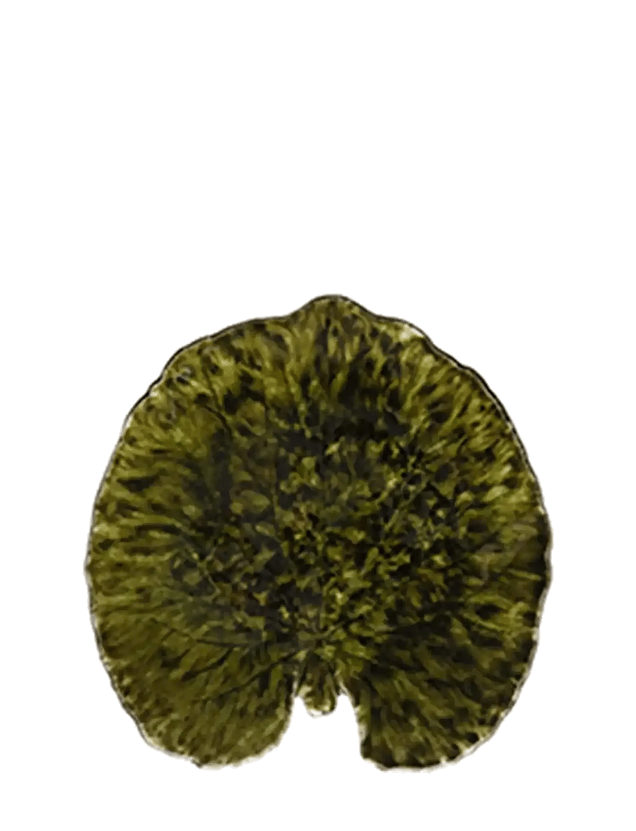 Costa Nova - Leaf plate Alchemille - osta hinna alusel - dark green - 1
