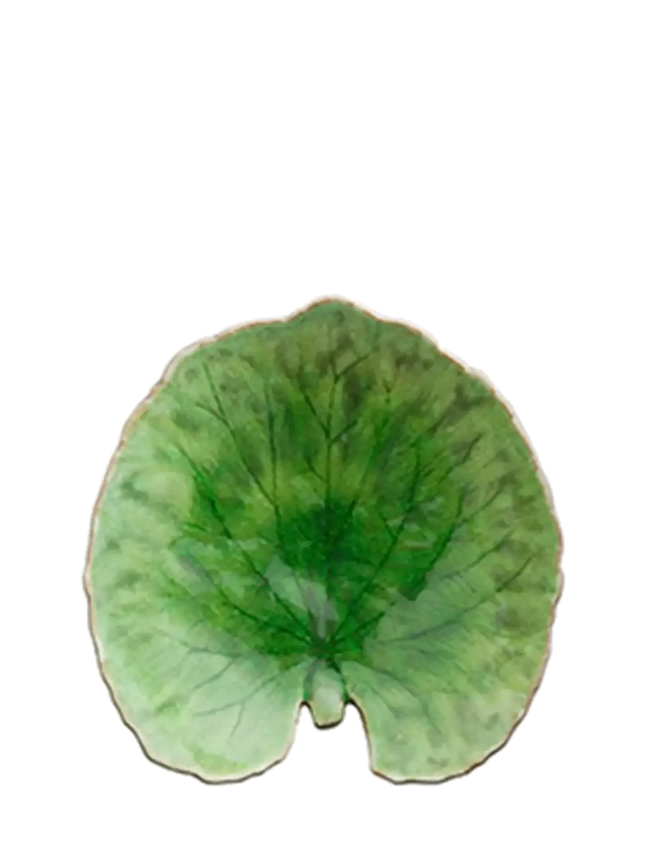 Costa Nova Bladfad Alchemille, Decorative Platters, Grøn, Str: 17.6X 17CM