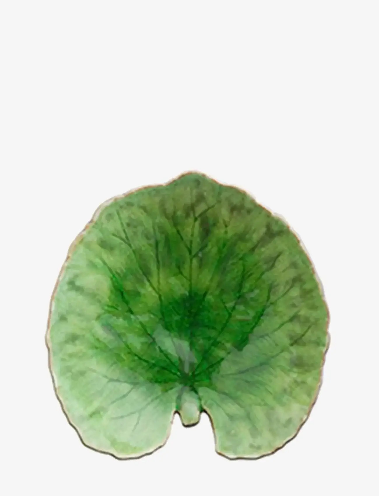 Costa Nova - Bladfad Alchemille - shop by price - light green - 1
