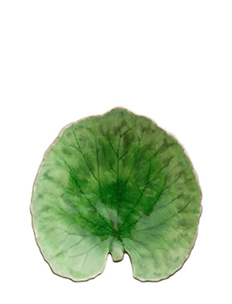Costa Nova - Leaf plate Alchemille - nach preis einkaufen - light green - 1