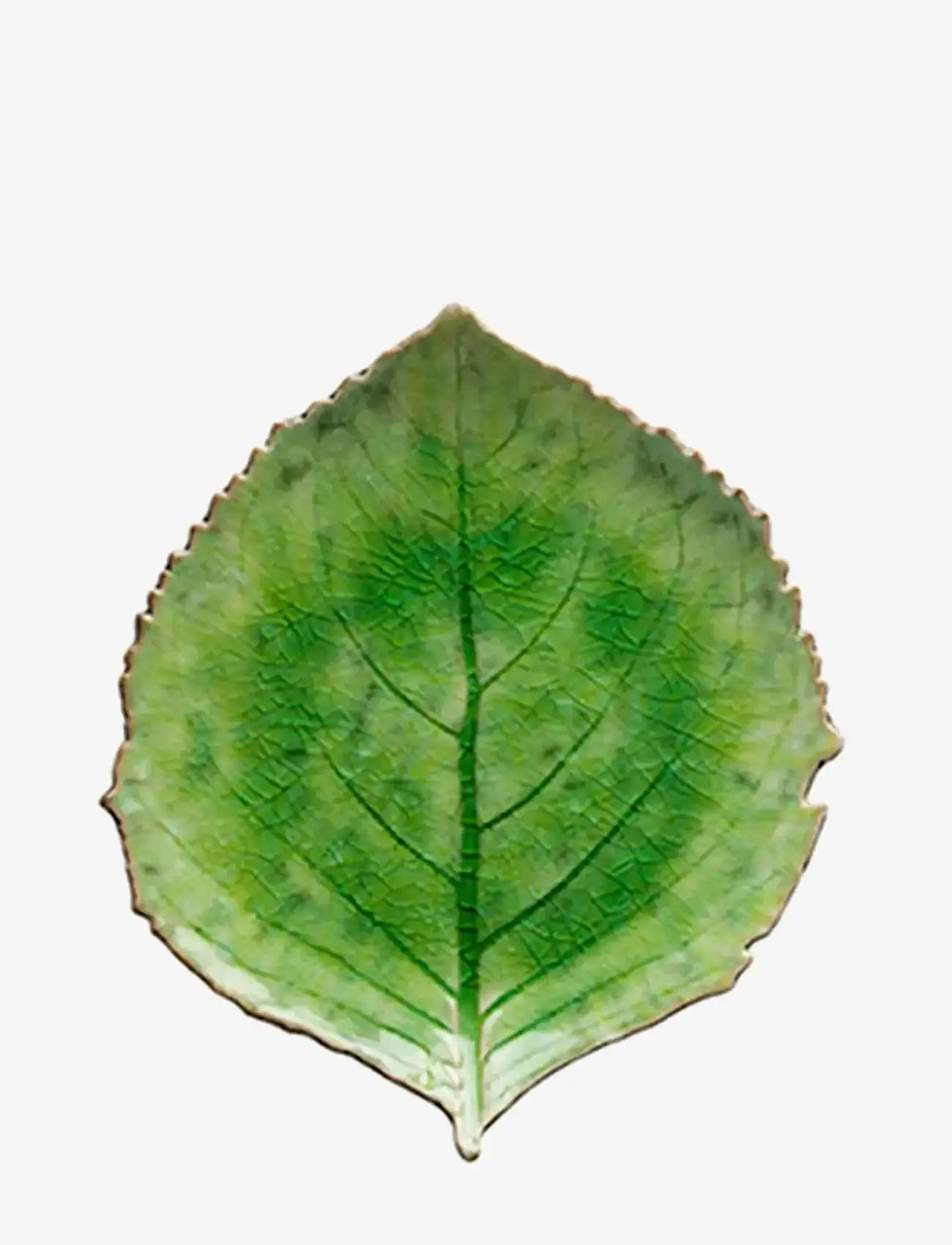 Costa Nova - Leaf plate Hydrangea L - serving platters - light green - 1