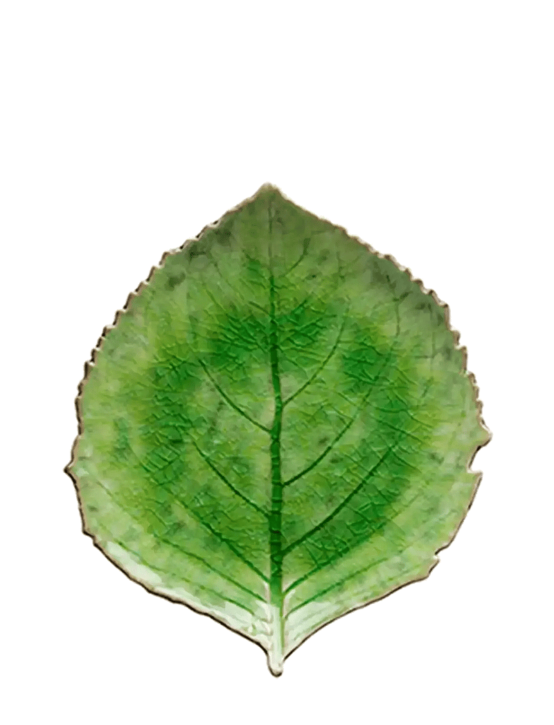 Costa Nova - Leaf plate Hydrangea L - serving platters - light green - 1
