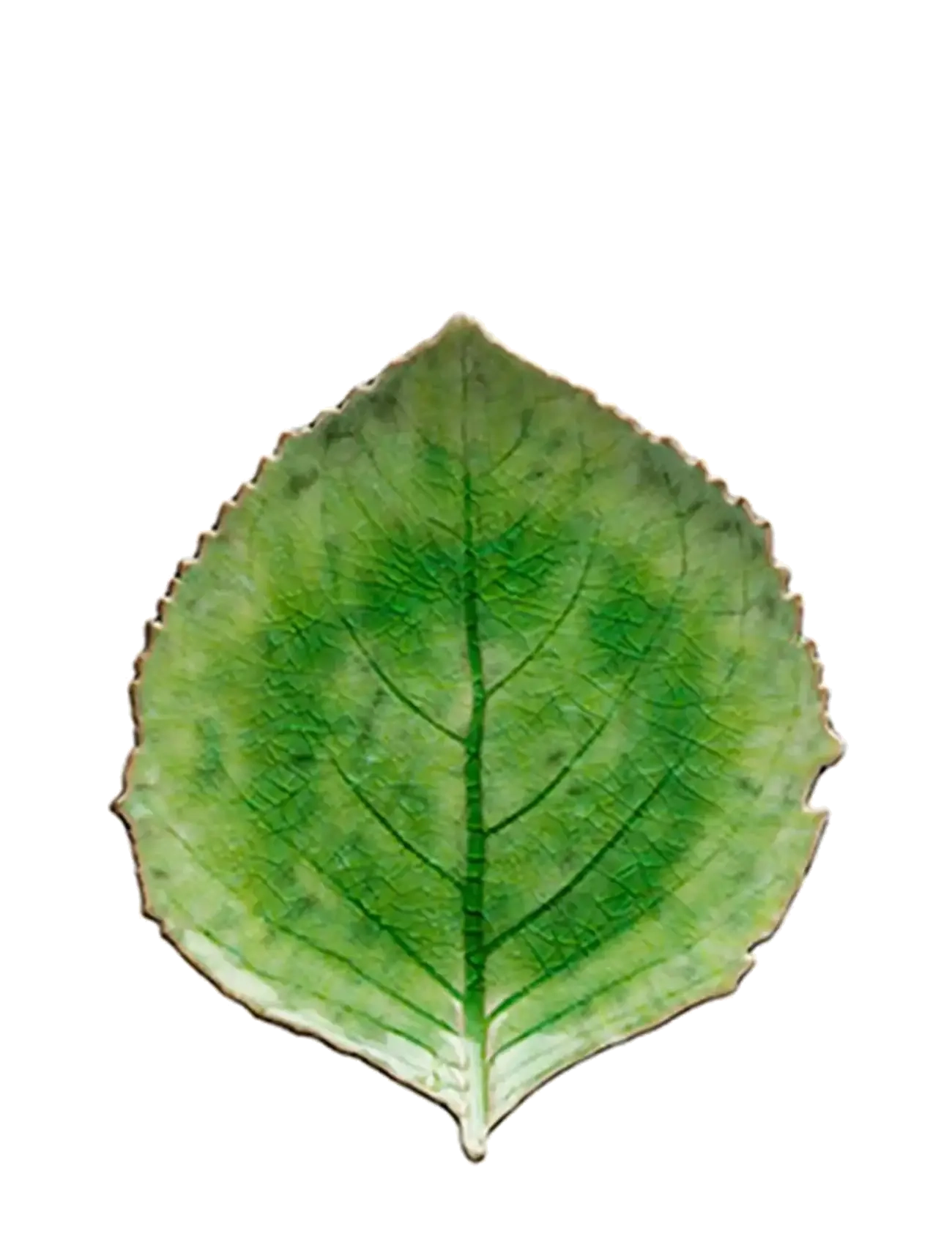 Costa Nova Leaf plate Hydrangea L - Kodusisustus - LIGHT GREEN / green