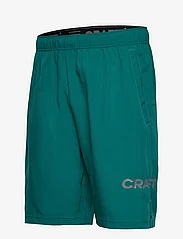 Craft - Core Essence Shorts M - trainingshorts - twig - 2
