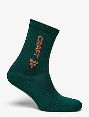 Craft - Core Join Training Sock - lowest prices - twig/tart - 1
