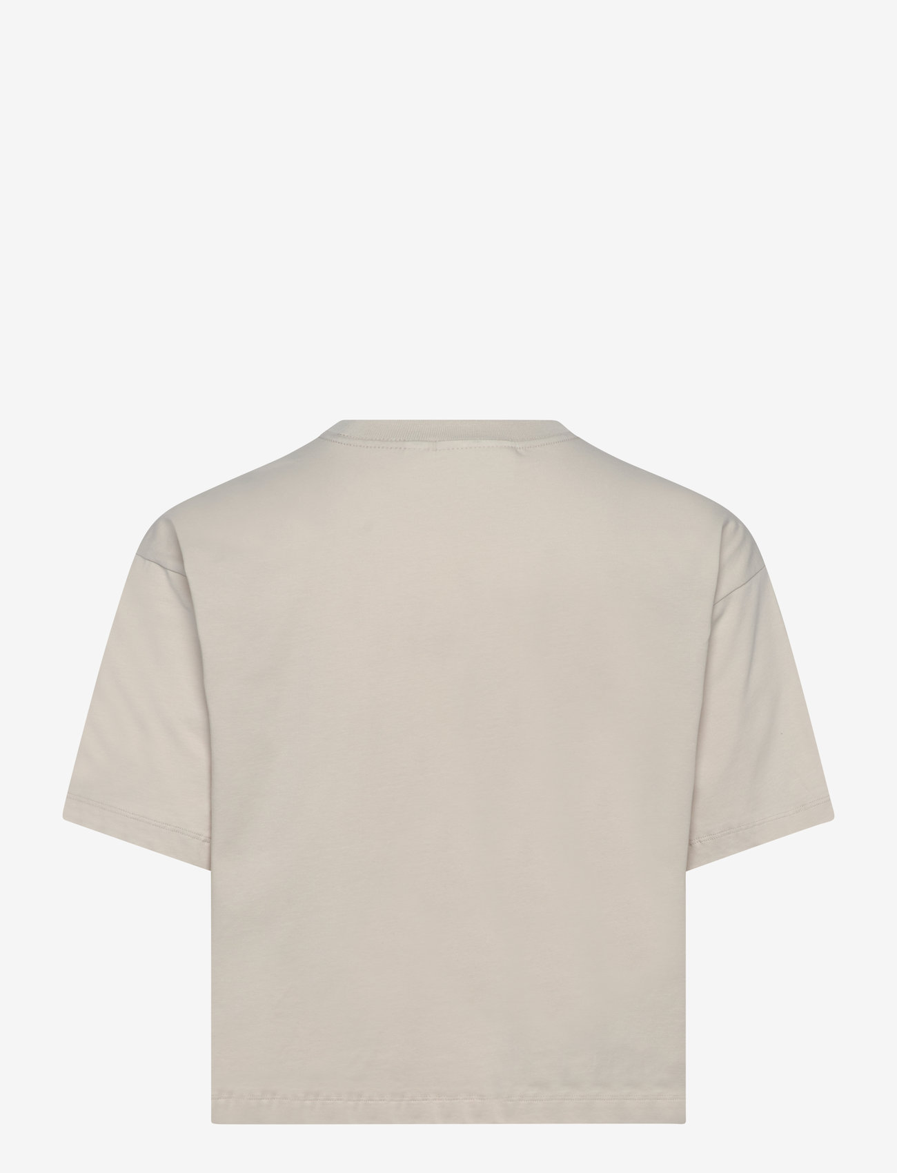 Craft - Collective Relaxed Ss Tee W - madalaimad hinnad - plaster - 1