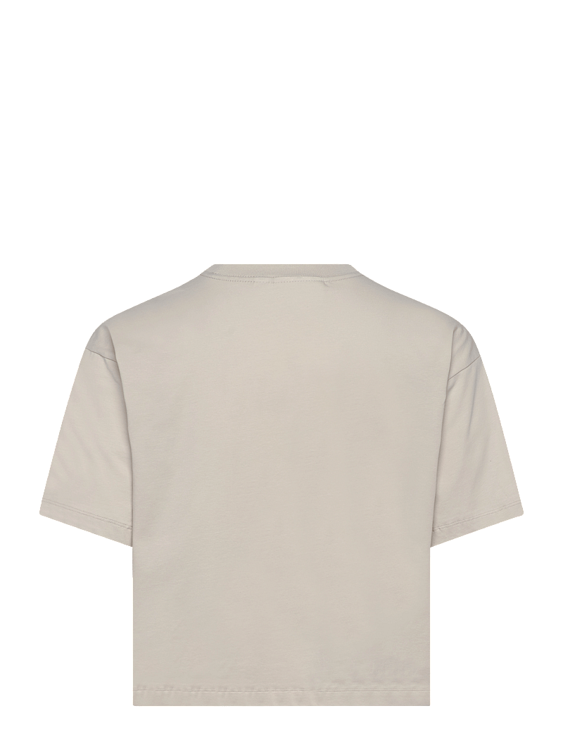 Craft - Collective Relaxed Ss Tee W - t-särgid - plaster - 1