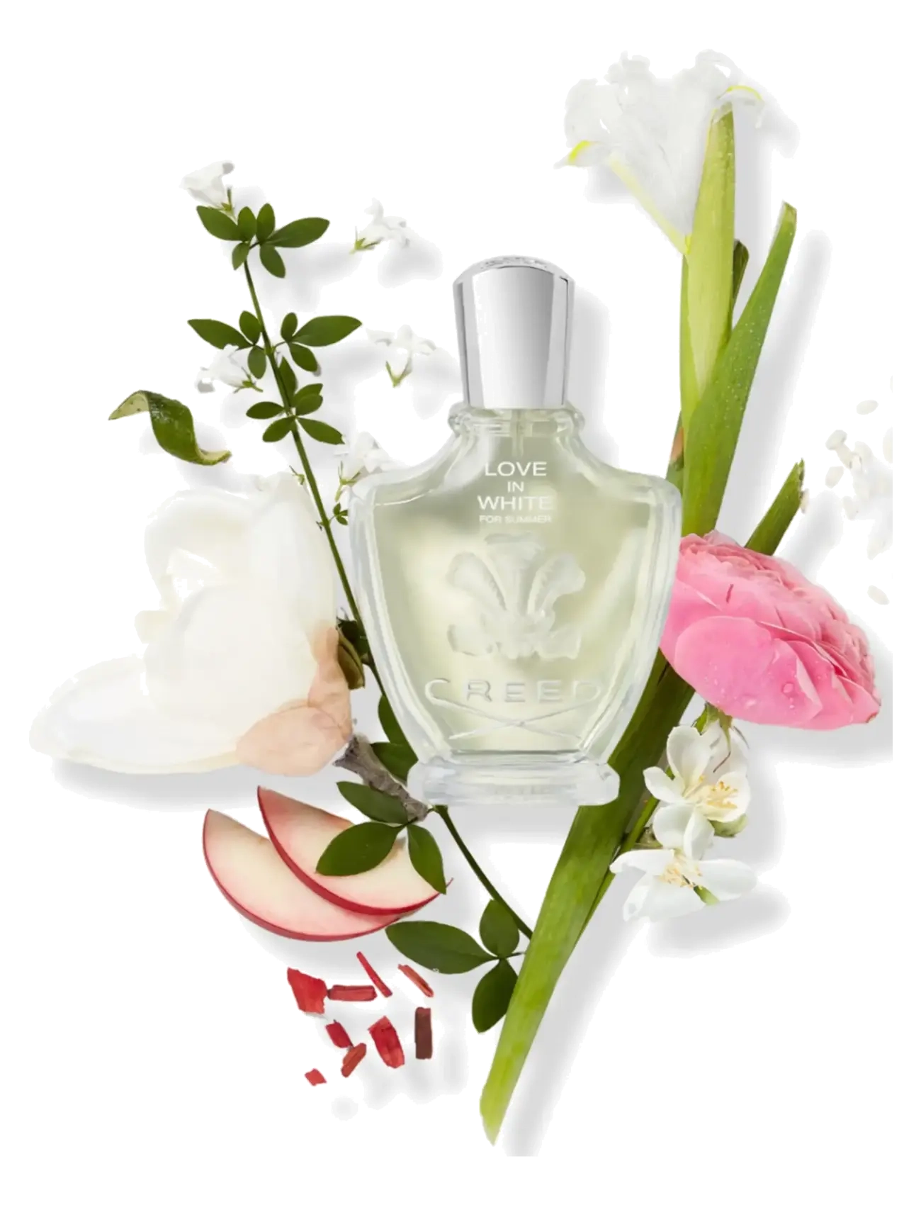 Creed - Love in White for Summer EdP - mõlemale soole - clear - 1