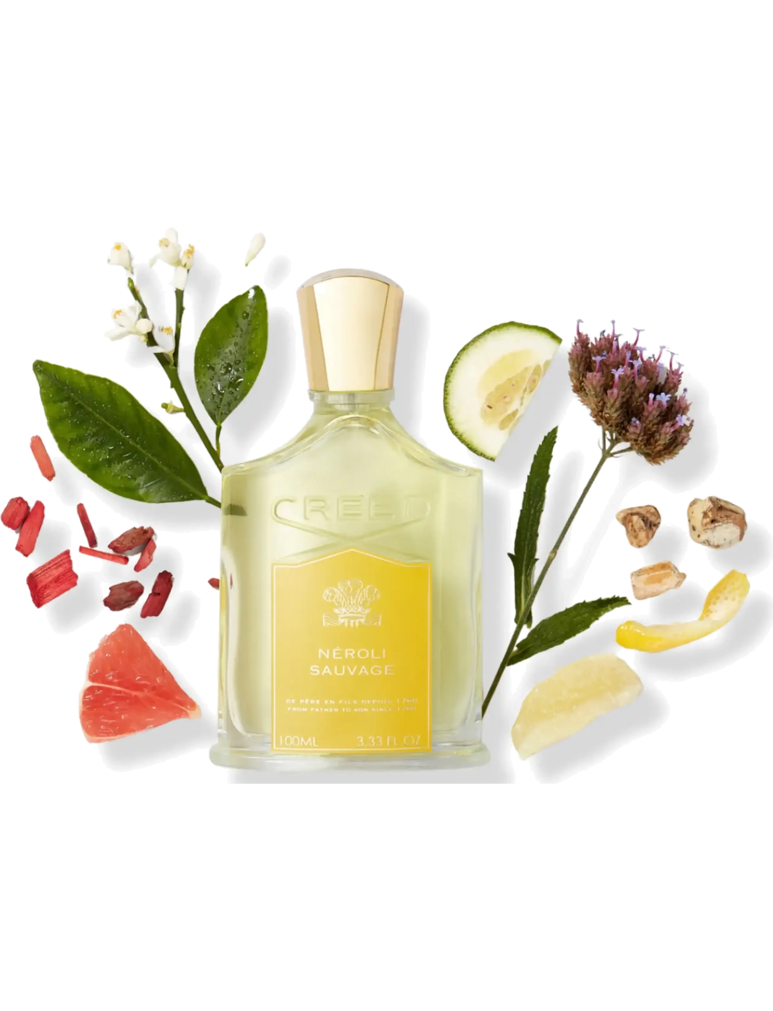 Creed - Neroli Sauvage EdP - unisex - clear - 1