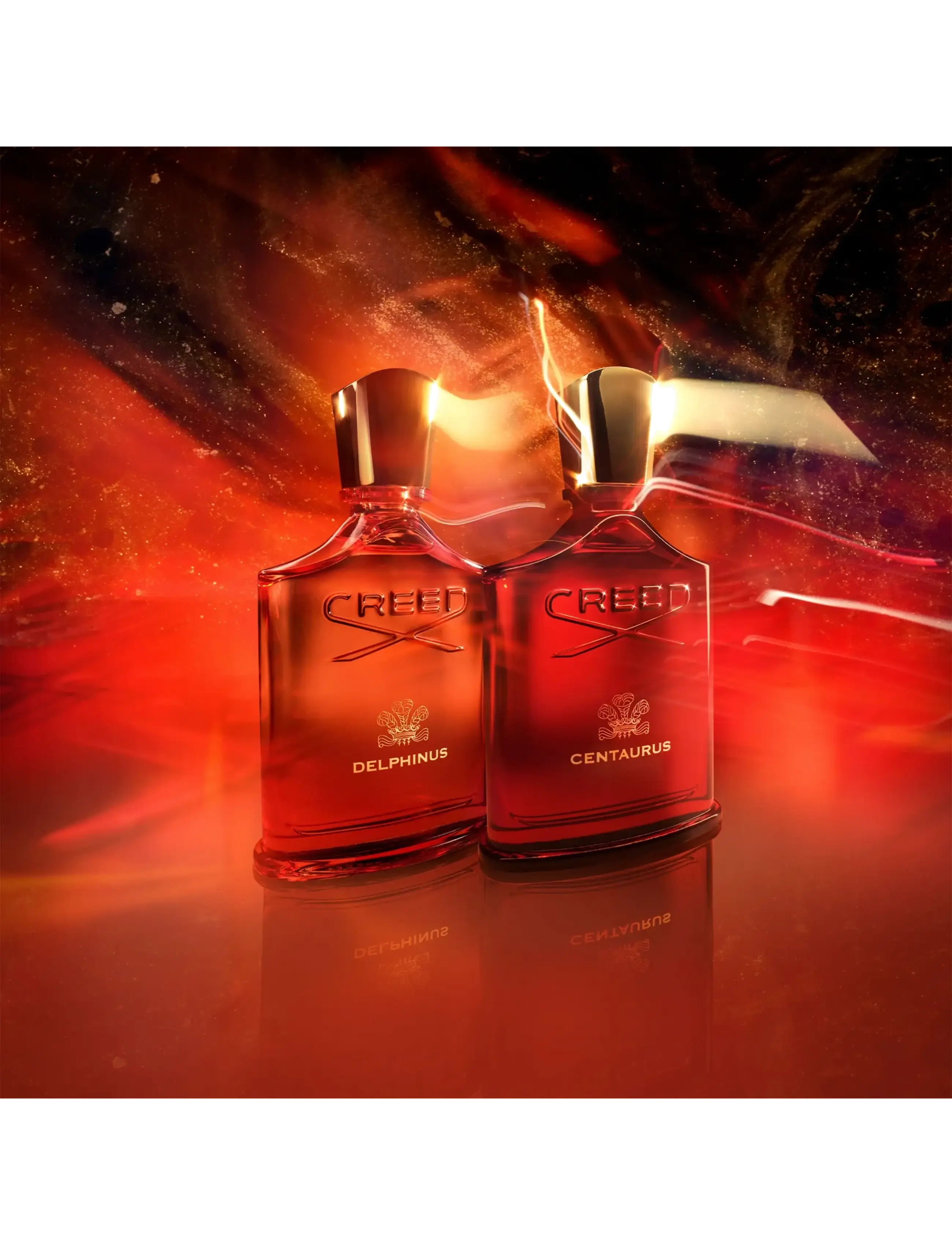 Creed - Delphinus EdP - unisex - clear - 3