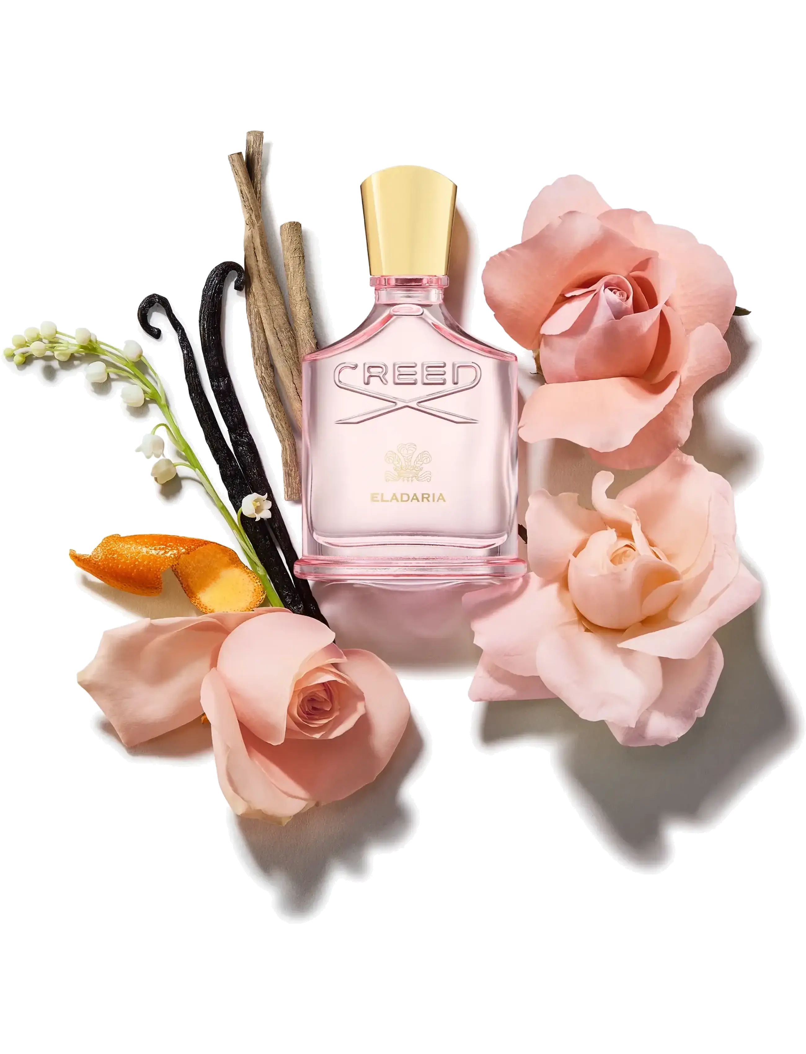 Creed - Eladaria EdP - unisex - clear - 1