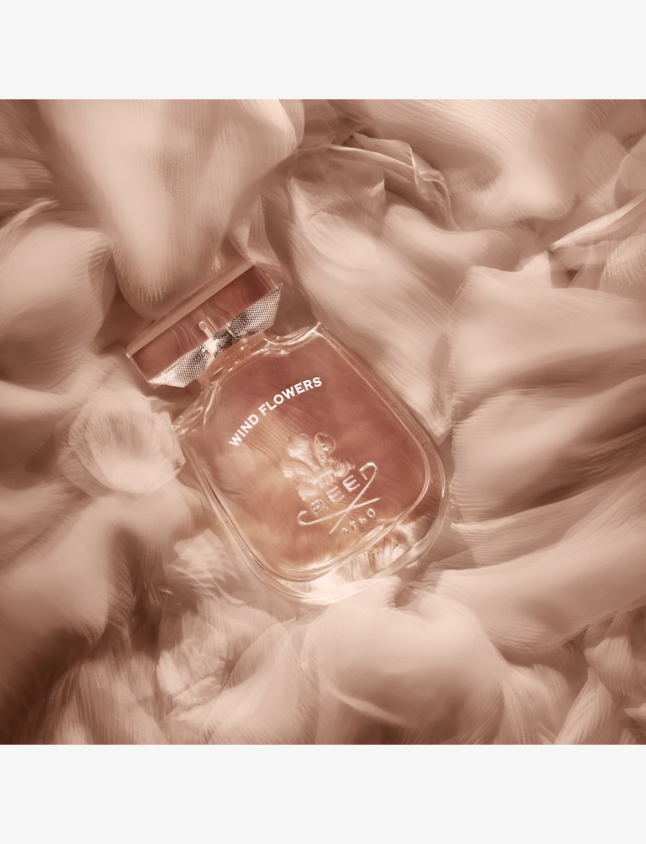 Wind Flowers Edp 6