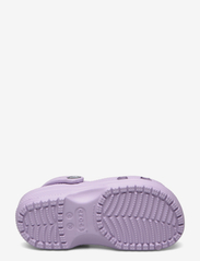 Crocs - Classic Clog T - suvised sooduspakkumised - lavender - 4