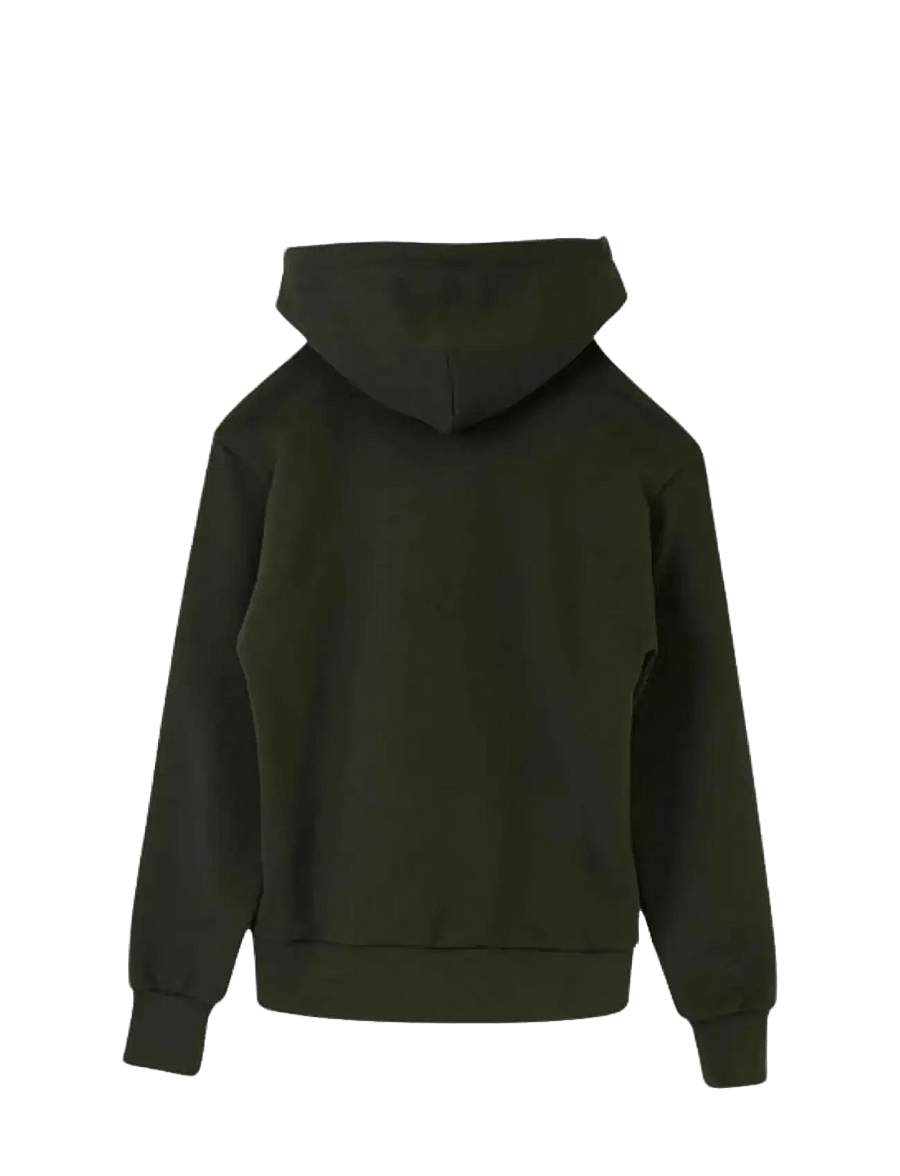 Cross Sportswear - W SARAH JSG2 HOODIE - sweatshirts - green melange - 2