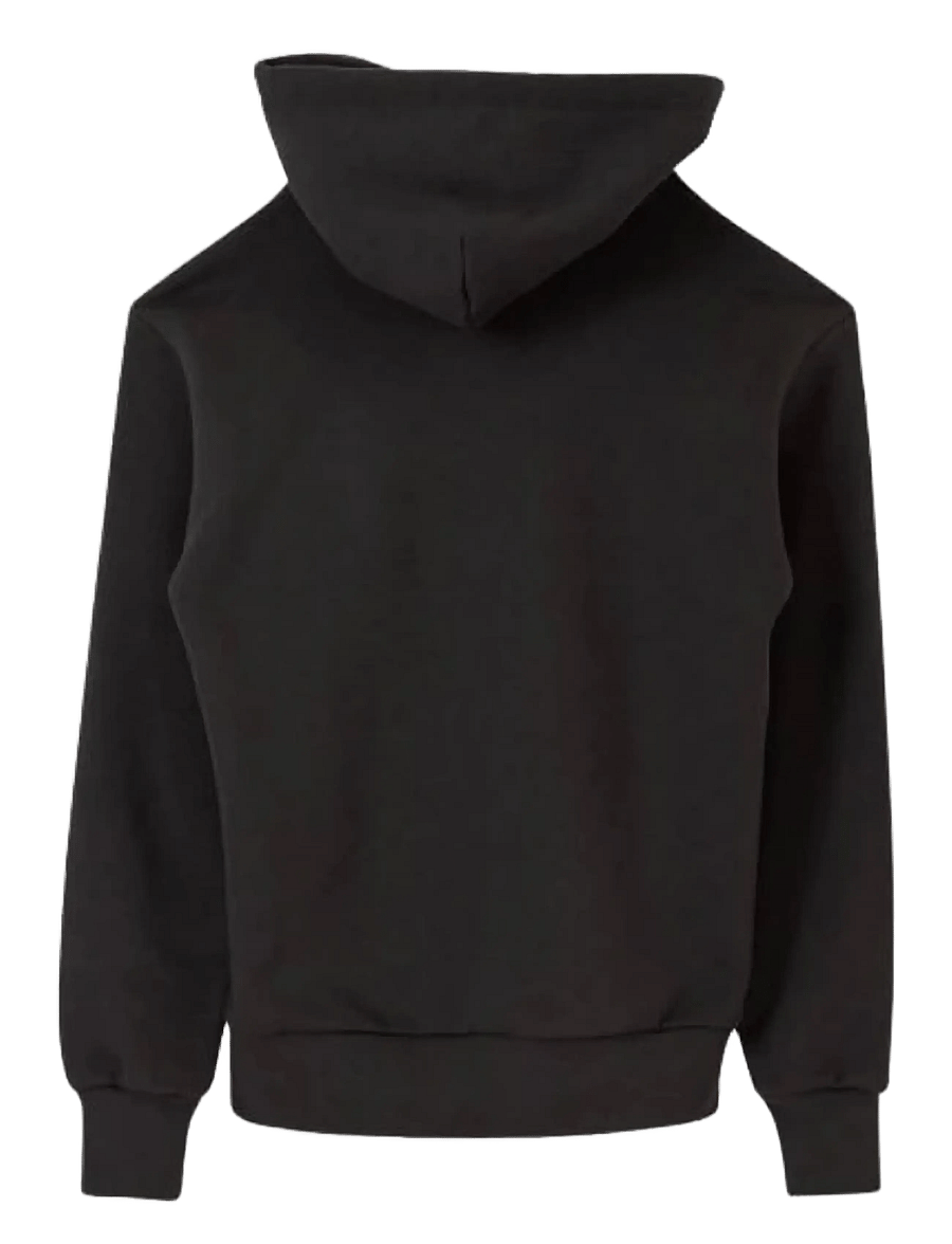 Cross Sportswear - W SARAH JSG4 HOODIE - peysur - peat - 2