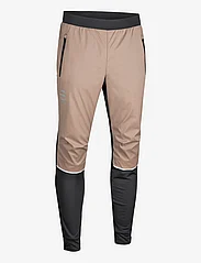 Daehlie - Pants Run 365 - spodnie sportowe - desert taupe - 0