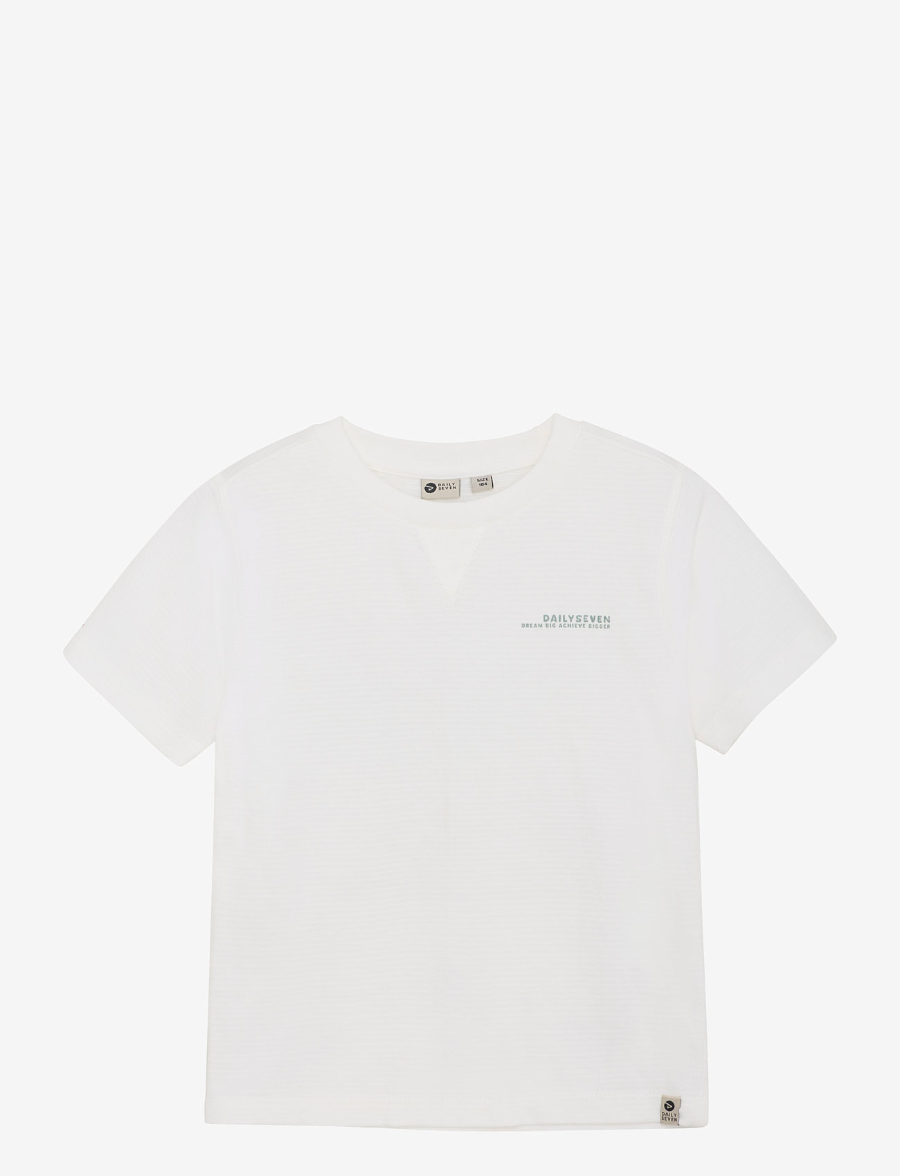 Daily 7 - T-shirt Backprint - kortermede t-skjorter - cloud - 0