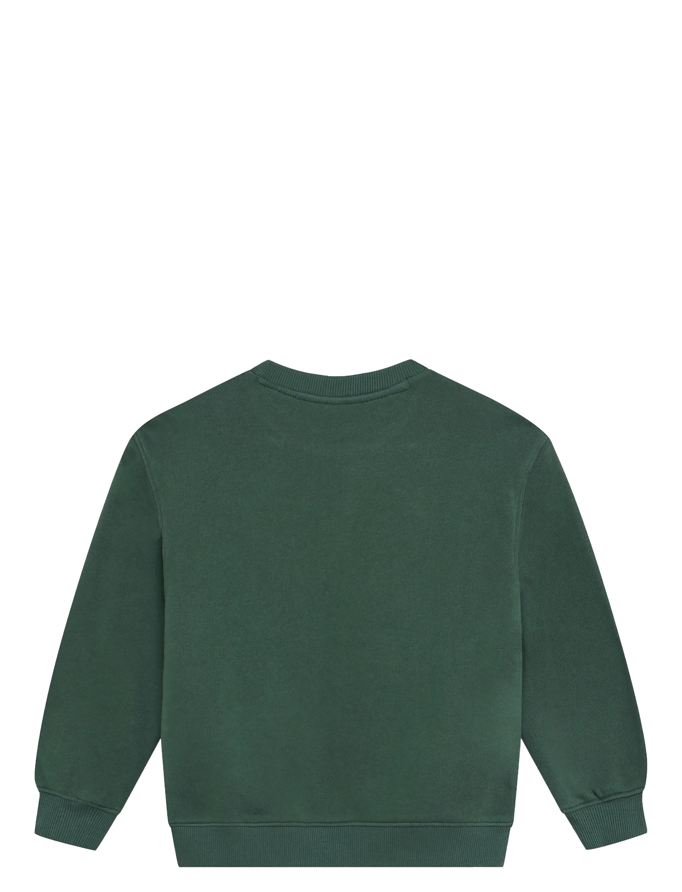 Daily 7 - Oversized Sweater Basic - džemprid - jungle green - 1
