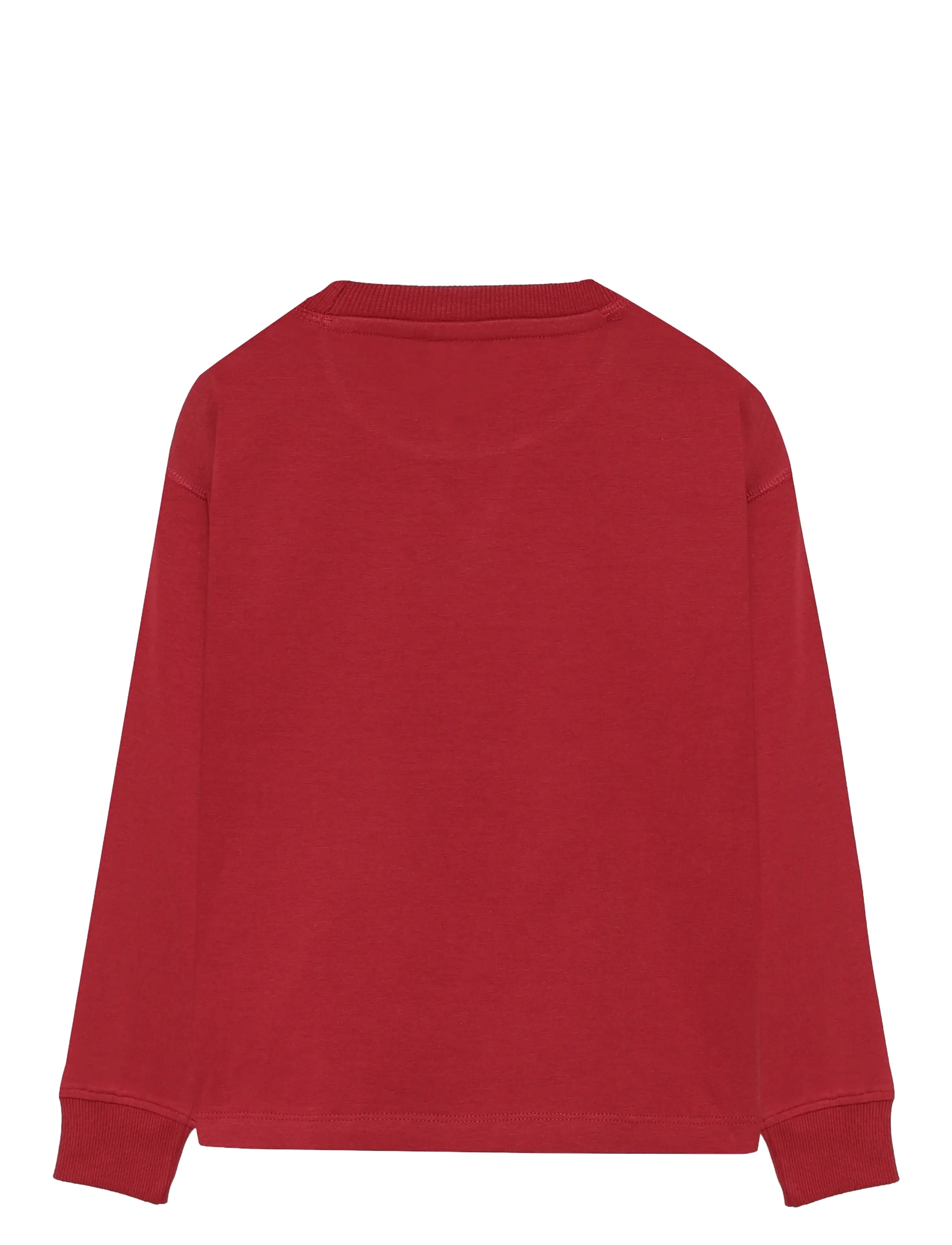 Daily 7 - T-shirt Longsleeve Chest print - langärmelig - rythmic red - 1