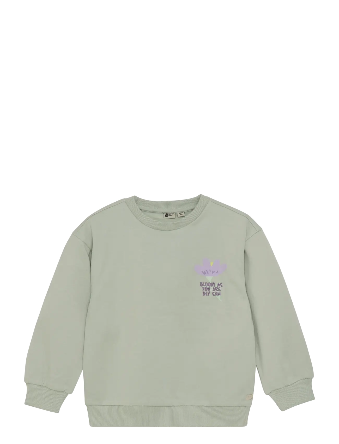 Daily 7 Sweater Backprint - 4 for 3 - COOL MINT / green