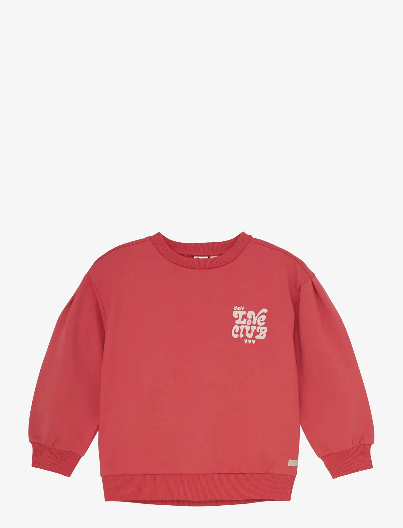 Daily 7 - Sweater Brushed Print - herbstliche kleidung - baked apple - 1