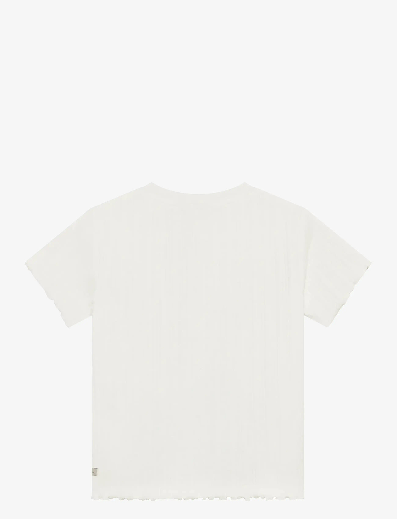 Daily 7 - T-shirt Artwork - short-sleeved t-shirts - egret - 2