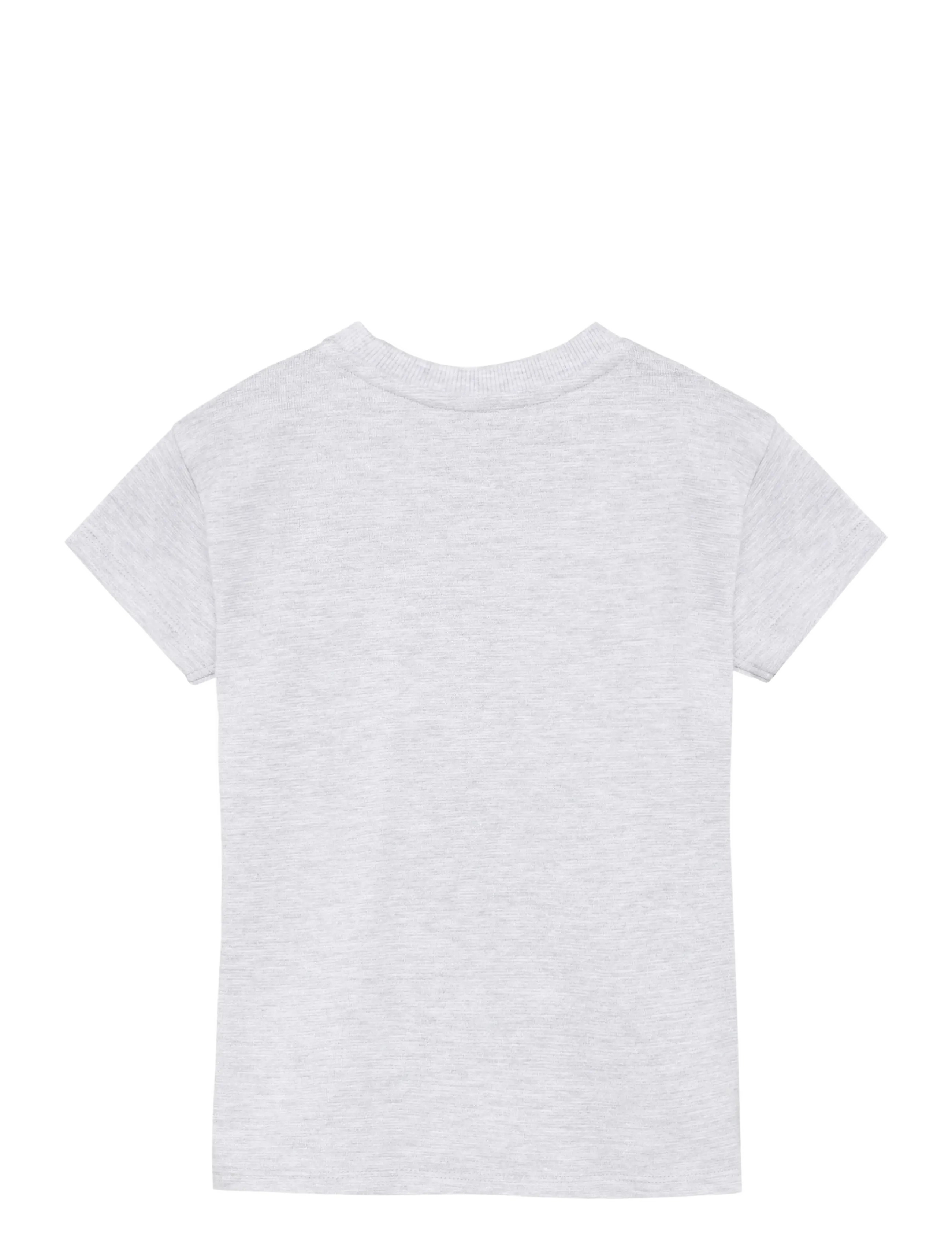 Daily 7 - T-shirt Artwork - kurzärmelige - light grey melange - 2