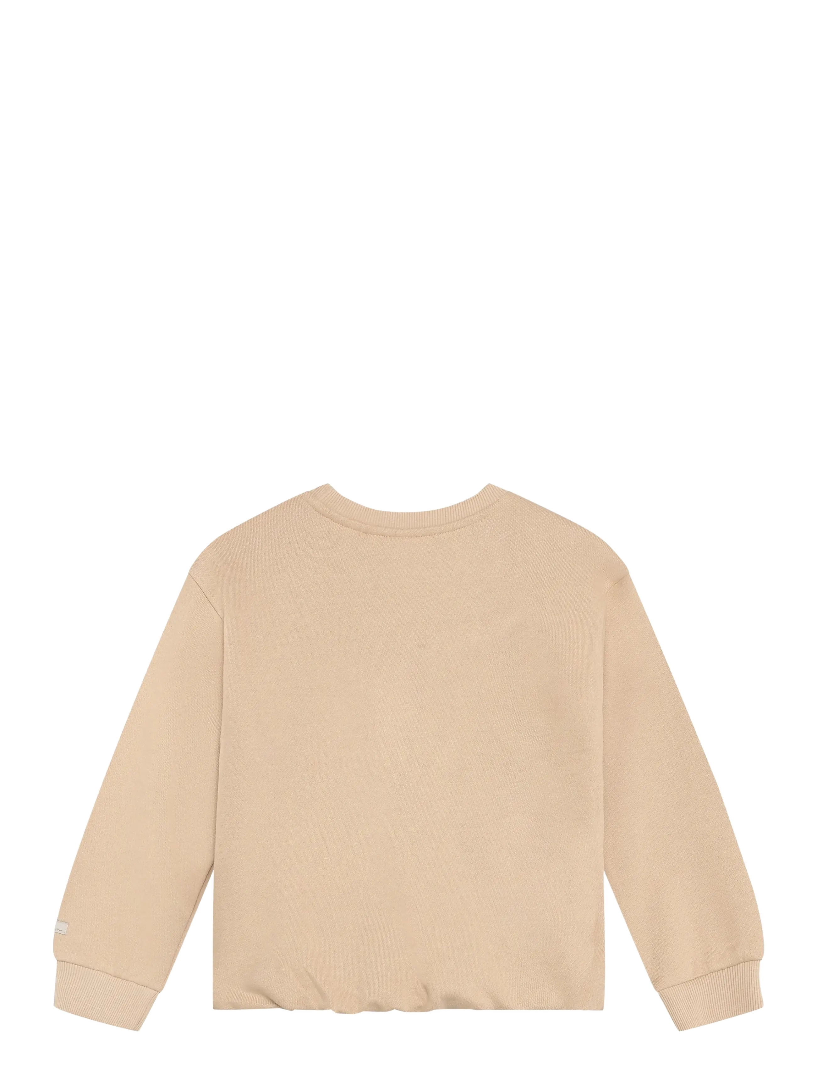 Daily 7 - Sweater Cropped Artwork - ginger root - 2