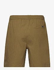 Daily Paper - pinira shorts - clover green - 1