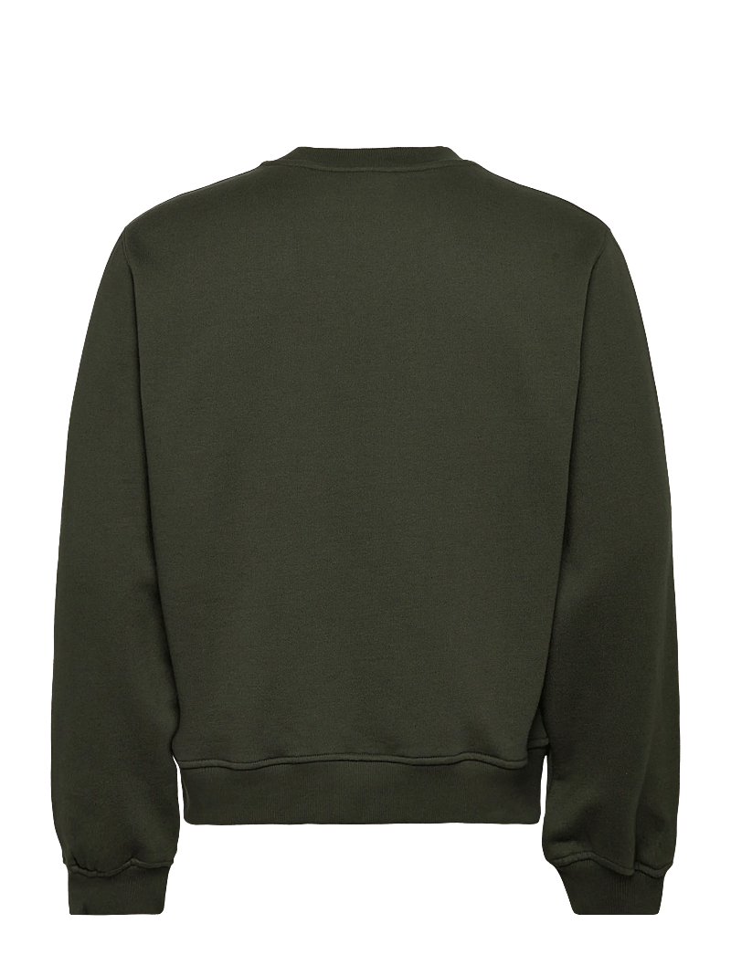 Daily Paper - orbit emb sweater - sweatshirts - rosin green - 1