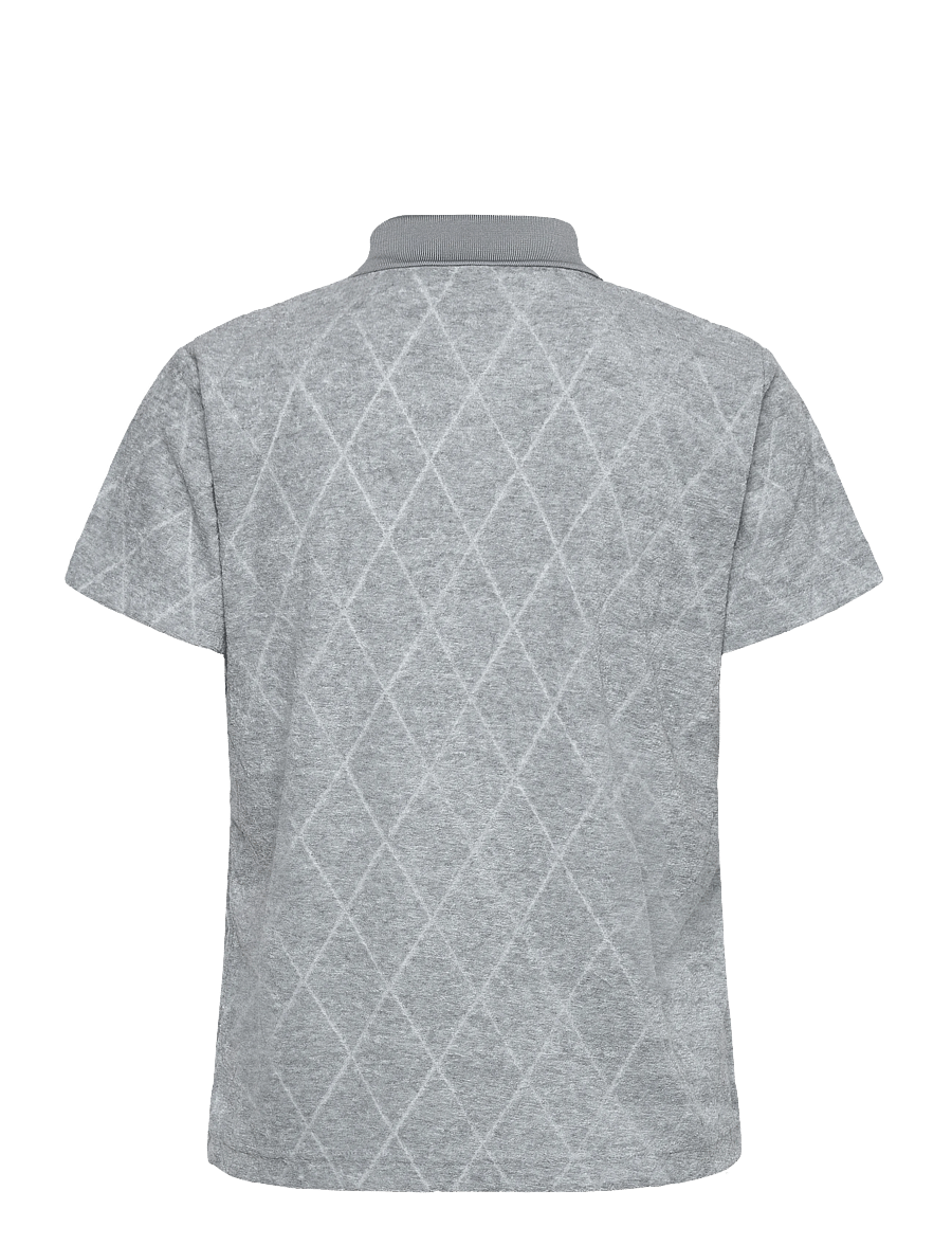Daily Sports - TERRY TOUCH SS POLO SHIRT - koszulki polo - grey melange - 2