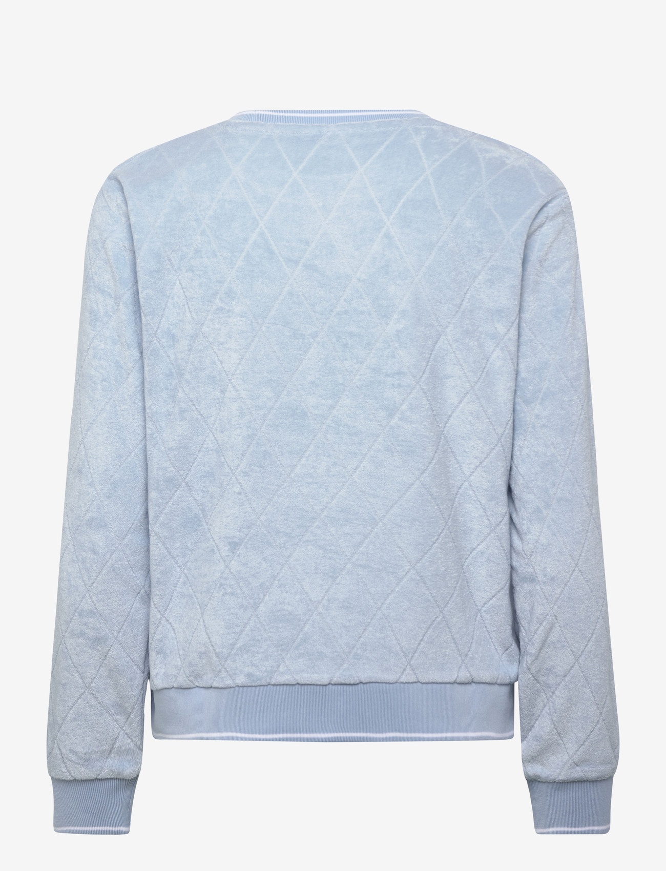 Daily Sports - Terry Touch Sweatshirt - dressipluusid - breezy blue - 2