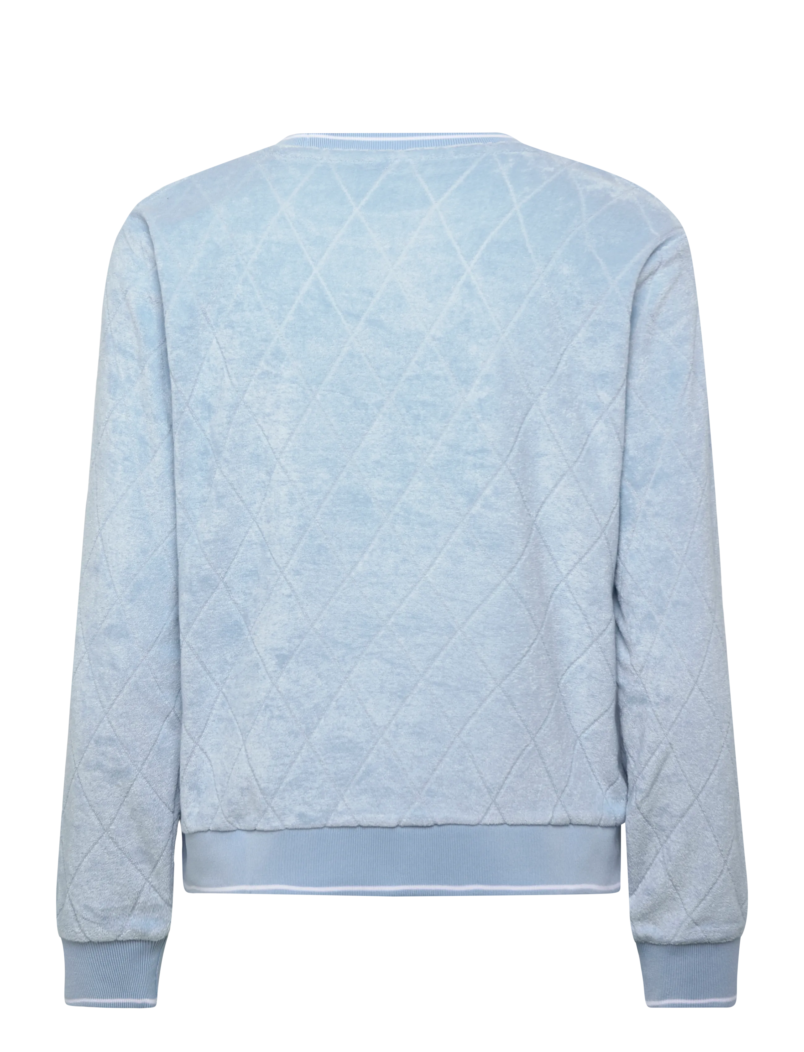 Daily Sports - Terry Touch Sweatshirt - tops - breezy blue - 2