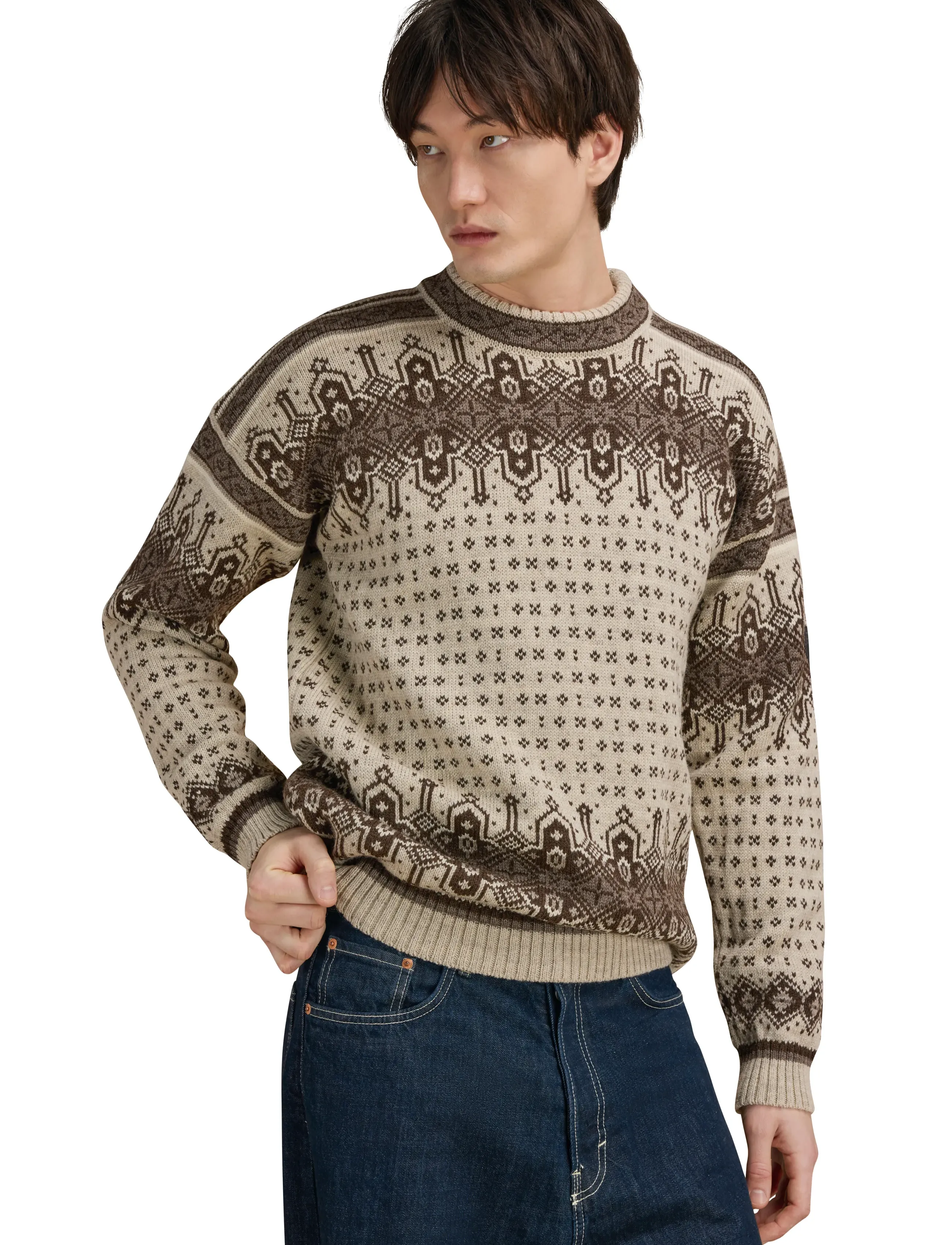 Dale of Norway - Albertville Masc. Sweater - Ümara kaelusega - birch coffee - 0