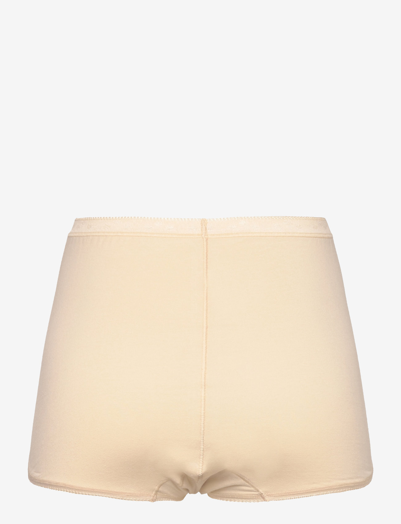 Damella of Sweden - Maxi Brief - midi & maxi briefs - poudre - 2