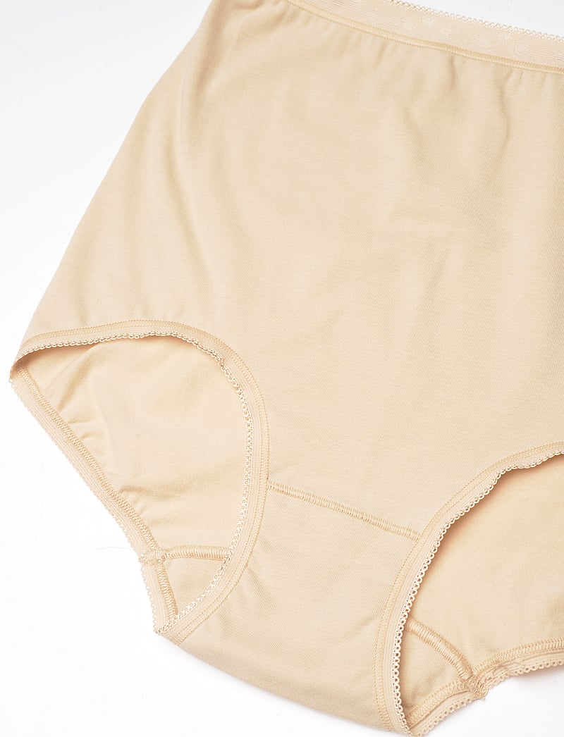 Damella of Sweden - Maxi Brief - midi & maxi briefs - poudre - 4