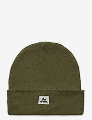 Danish Endurance - Recycled Polyester Beanie 1-pack - huer - green - 1