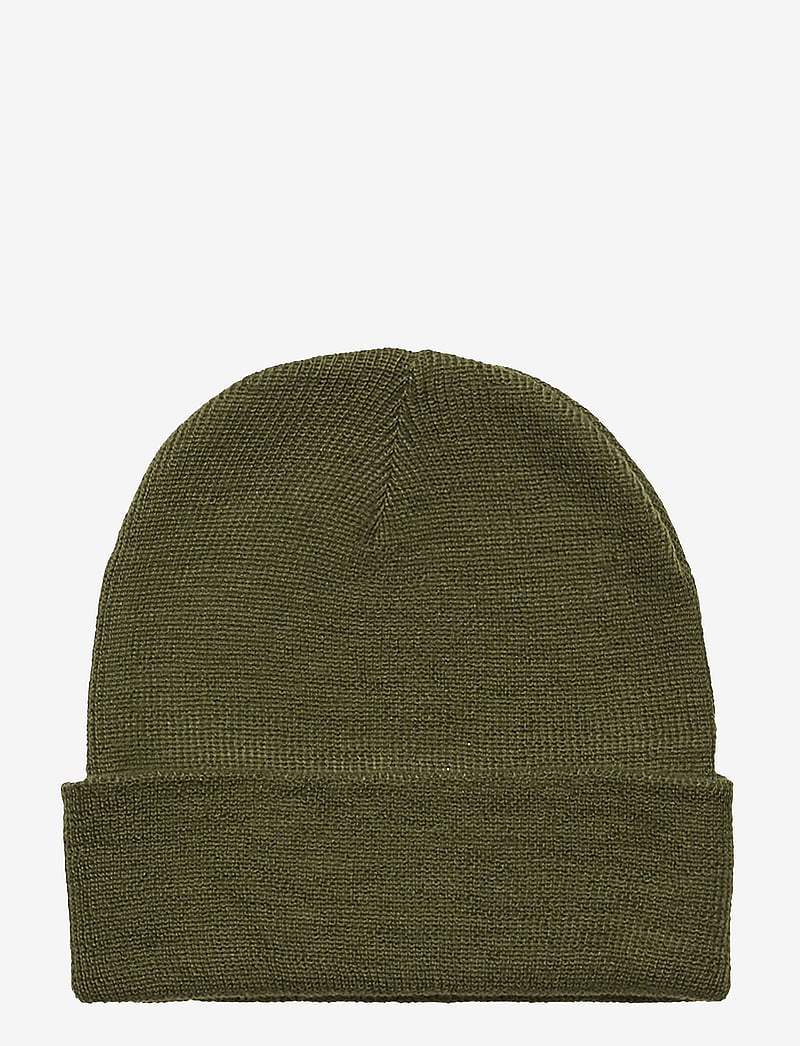 Danish Endurance - Renew Beanie 1-pack - mössor - green - 2