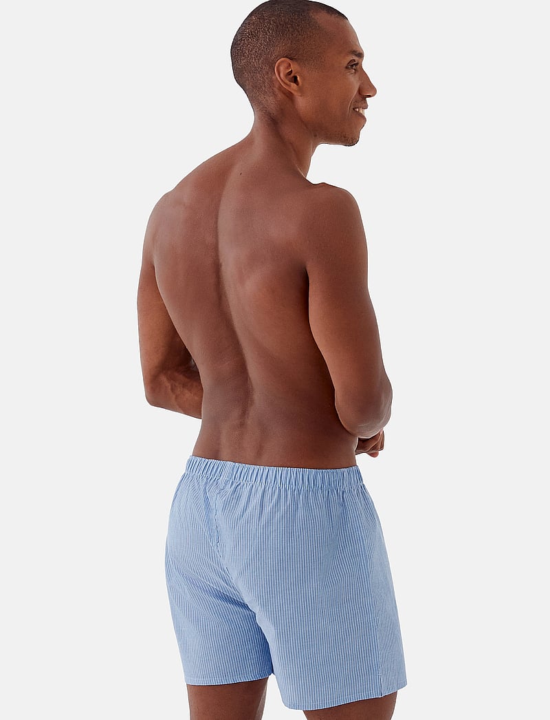 Danish Endurance - Organic Woven Boxers (Men) 4-pack - boxer briefs - assorted blue/stripes mix - 4