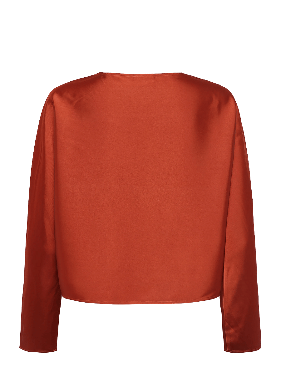 Dante6 - Dante6-Leiva bold satin button detail top - langärmelige blusen - roasted pumpkin - 2