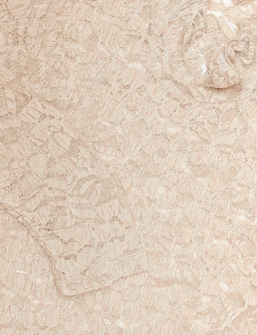 Dante6 - Dante6-Irony lace turtle neck top - rollkragenpullover - warm greige - 5