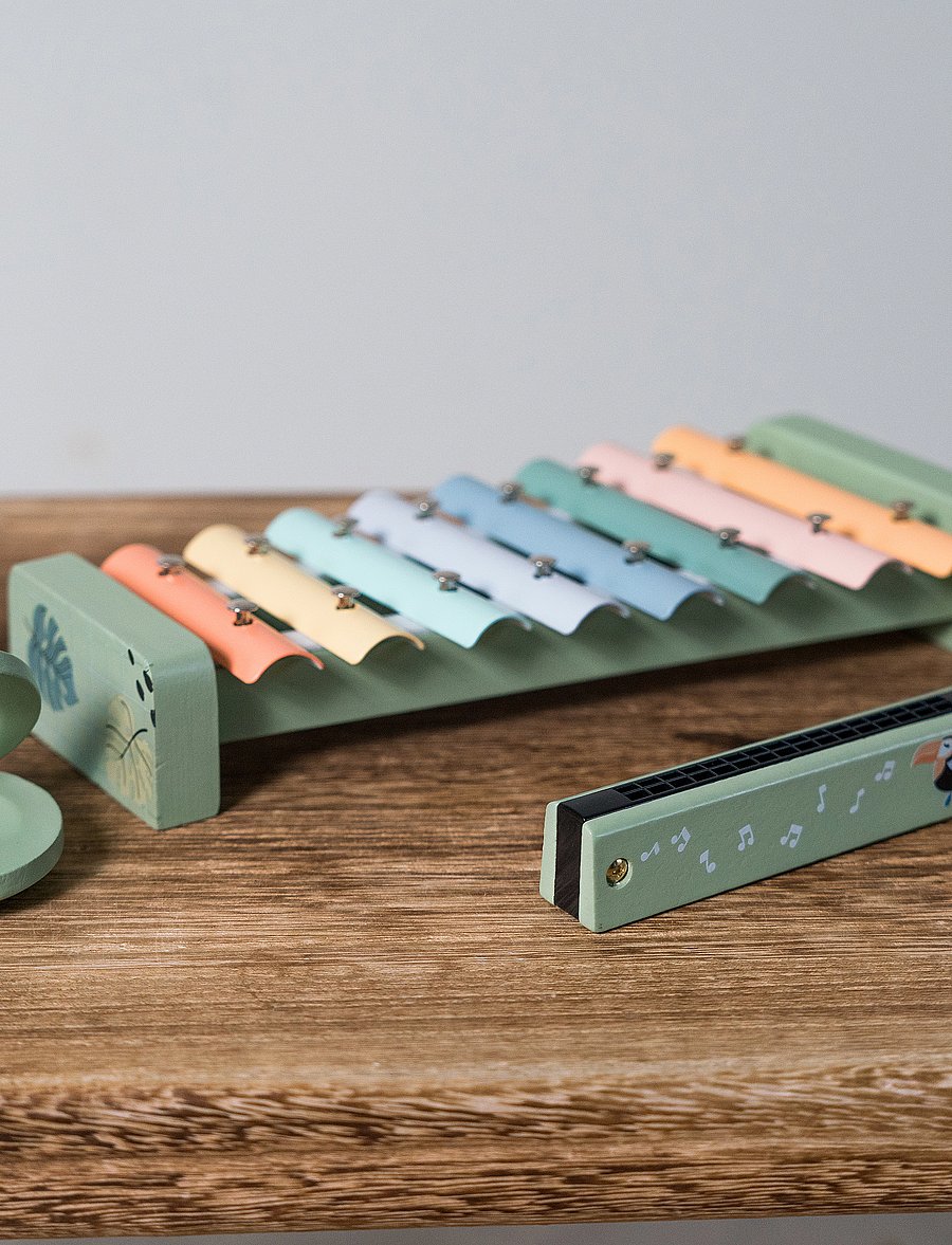 Dantoy - MULTI MUSIC SET WOODEN IN GIFT BOX 5 PARTS - jouets - mixed colours - 4