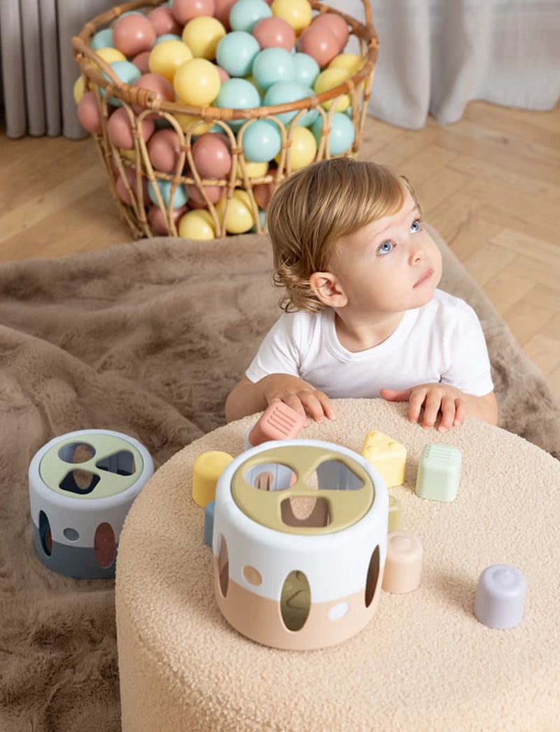 Dantoy - FT SHAPE SORTER IN NET - putteboks - blue, green, light gray-violet, light yellow, old pink, pastel blue - 5