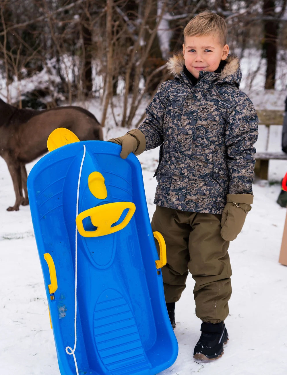 Dantoy - STEERABLE BOBSLED BLUE 95 CM - pulkor - blue - 0