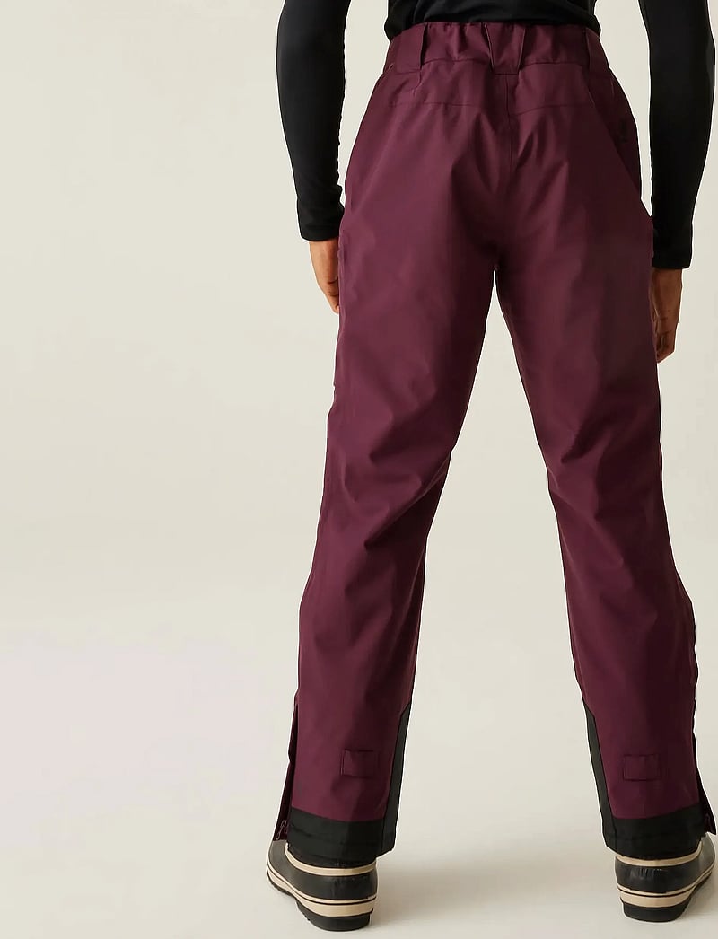 Dare2b - Baseplate II Pant - skibukser - fig - 4