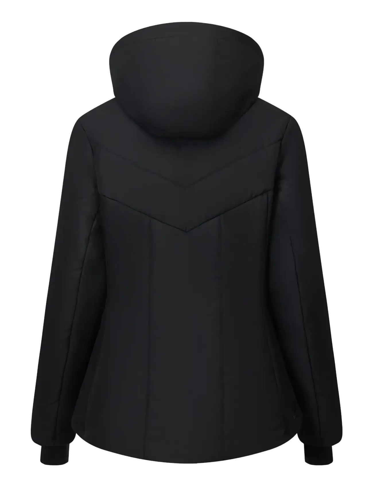 Dare2b - GlacierIIJacket - skidkläder - black - 2
